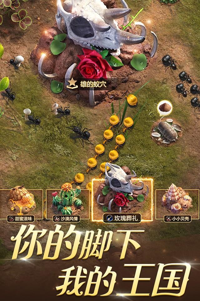 Screenshots 3