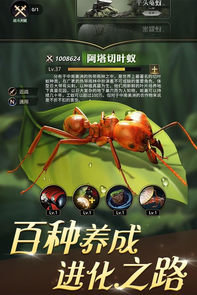 Screenshots 1