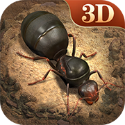 Little Ant Kingdom